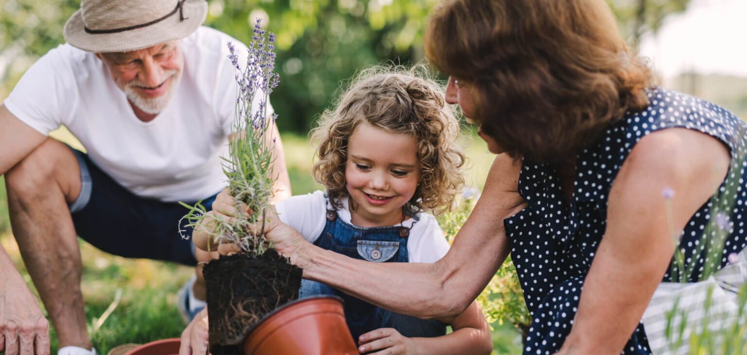 Beginner’s Guide to Starting Your First Garden