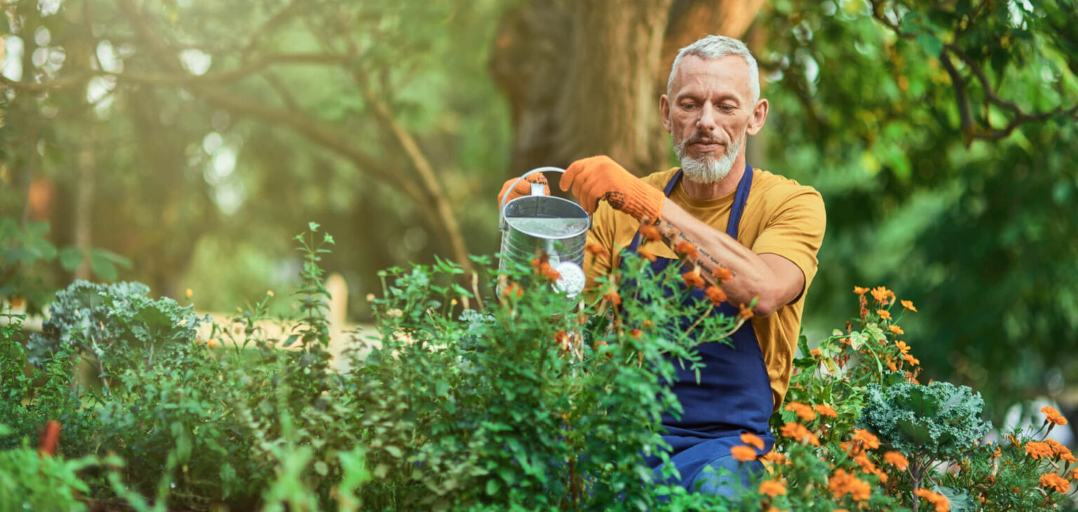 Seasonal Gardening Tips to Keep Your Plants Thriving Year-Round